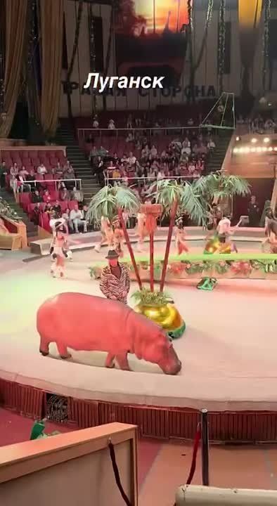 ���������� ������ ��������� �� ������ �� ������ ����� ��������� � ��������� ��������������� ����� ��� ������ ���������� ���� ����������