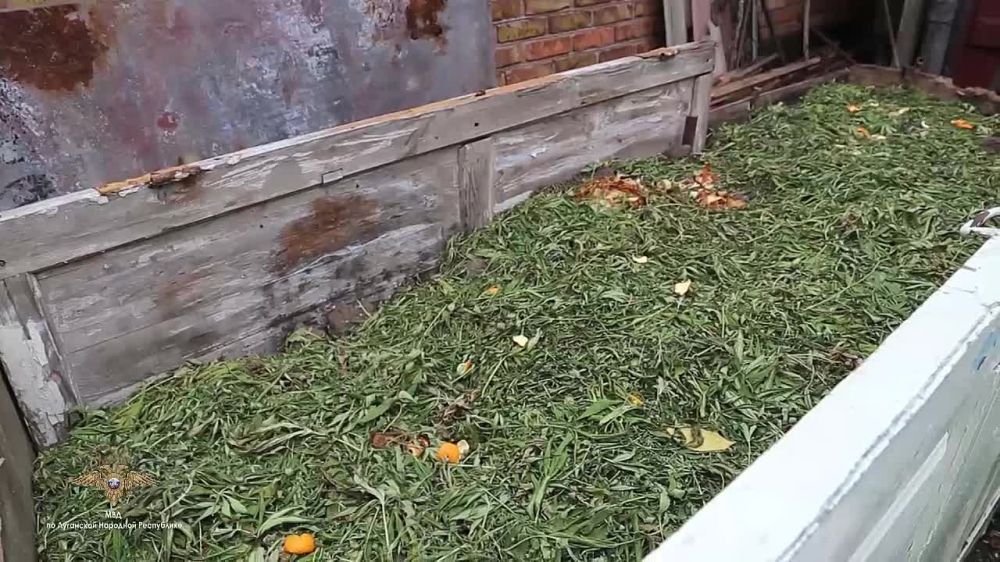 � ��������� �������� ���������� ����������������� ������ ����� 10 �� ������� � �������� ������