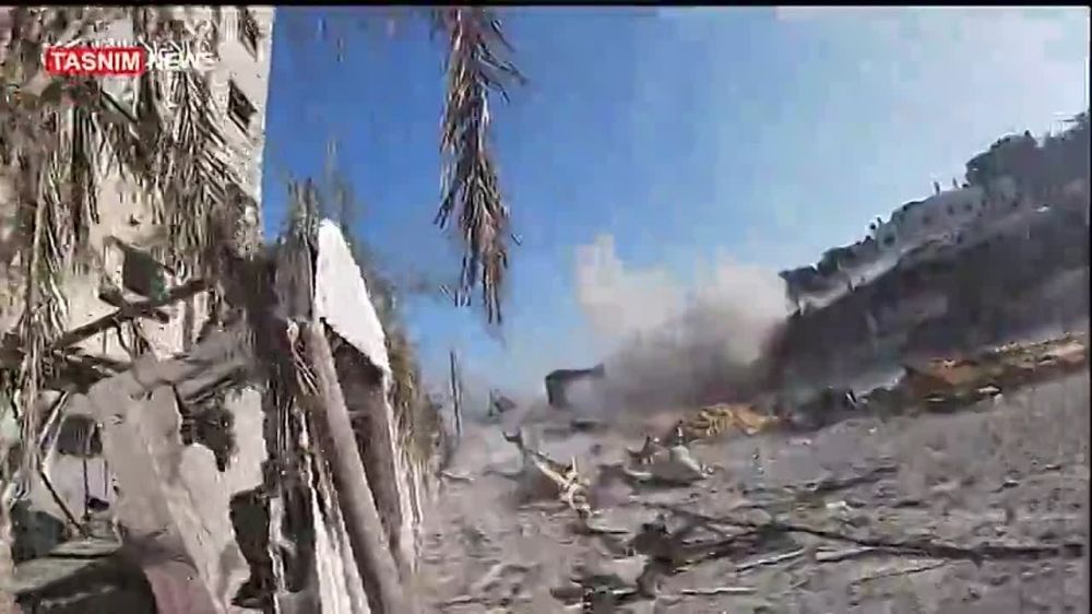 ����� ���� �� ������-������ ����-�����, � ���� ������� ������� ����� ���������� ������� ������