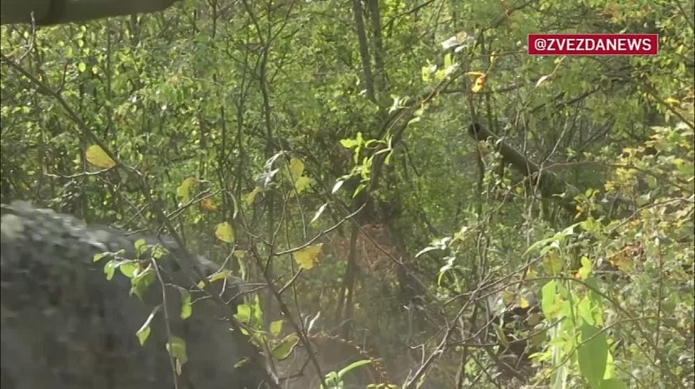 �� ��������������� ����������� ��� �-80 ���������� ������� ���