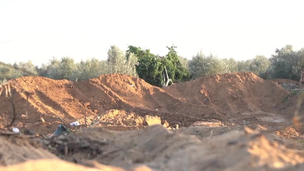 ����� ����������� ����� ������ ������ � ������� ����