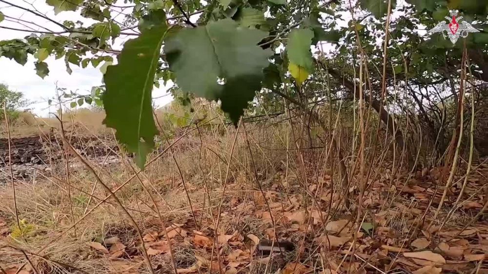 ������� ������ �-80 ������������ �������� ������ ���������� ������� ���������� � �������� ������� ������� �� ��������������� �����������