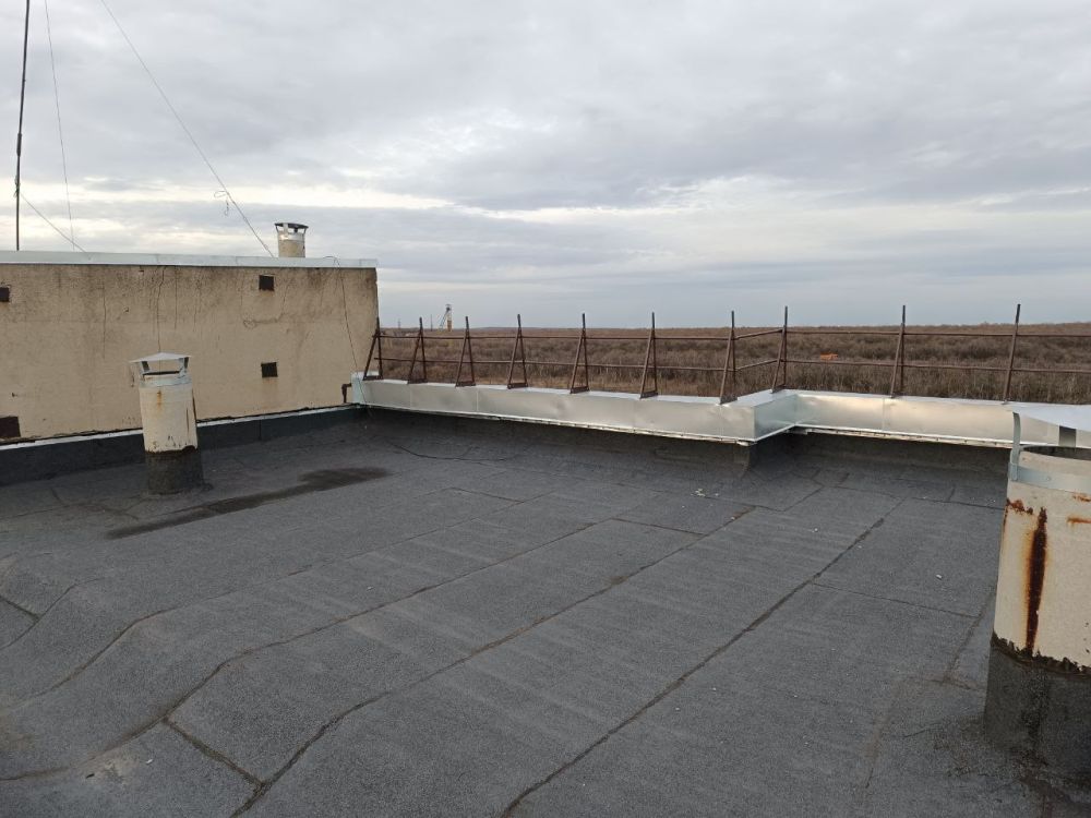 ����������� ���-������� ���������� ������������ ��������� ����������� ������ ������� �� 20 ��������������� ����� �������� ����, �������� � ��������������