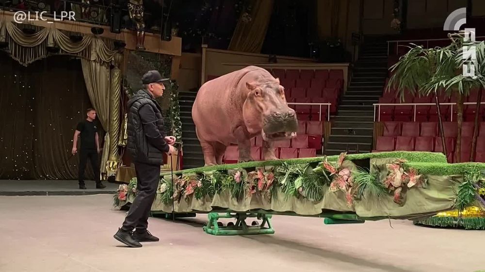 � ��������� ����� ������������ ������������ ��������� �������-���