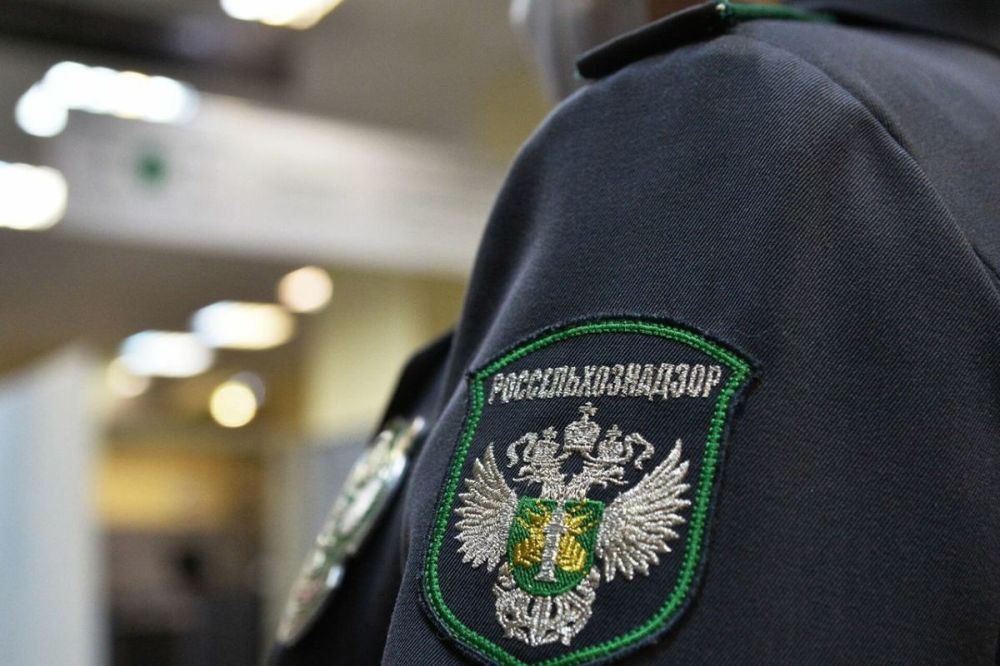 ����������� ����������������� �� ��� �������� ������� ���� �� ������ ��������� �� ���������� ������ �������