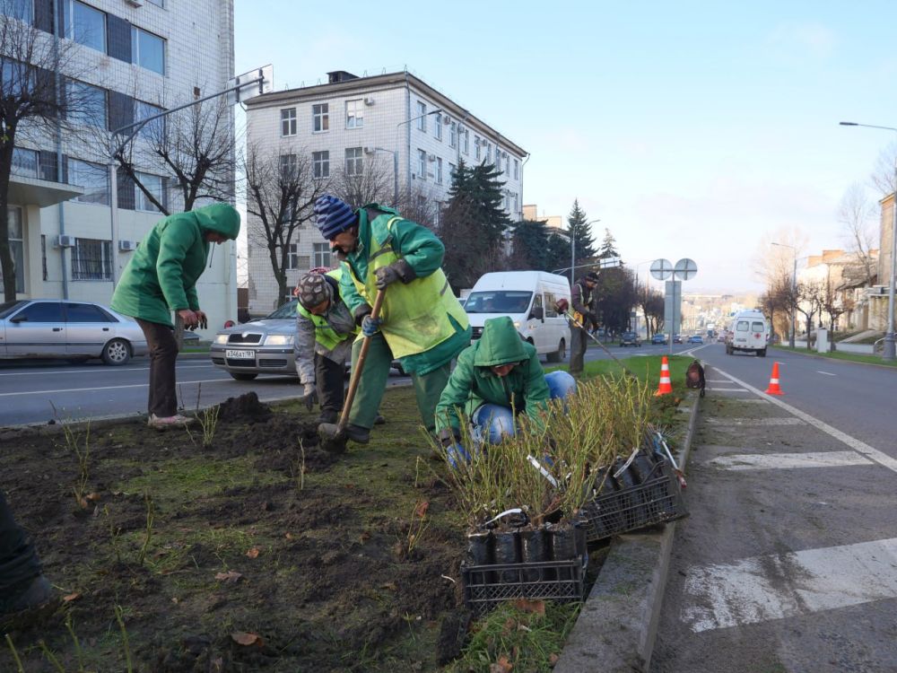 ���������� ���������� ��������� �������� ��������� � ��������������� ��������������� ������� ��� �� ��������� ����� ����������� ������������� �����, �������� � ������������� ��������