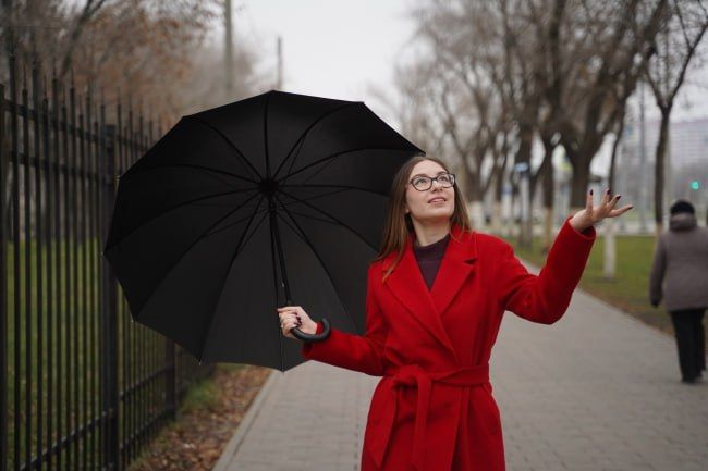 � ��� � �����������, 12 ������, ��������� ��������� �����