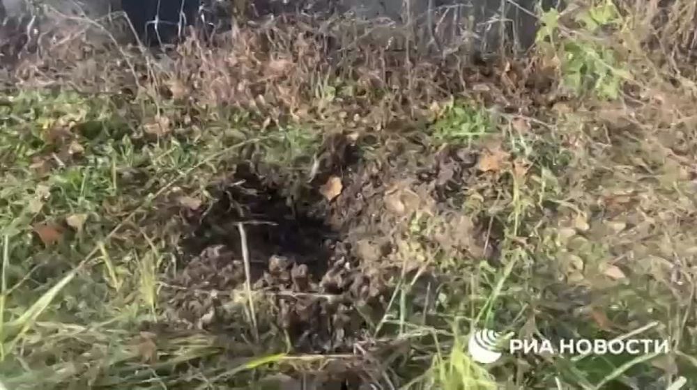 ����������� �������� ���������� ������������ �������� � ��������� (���) �� ������� ���