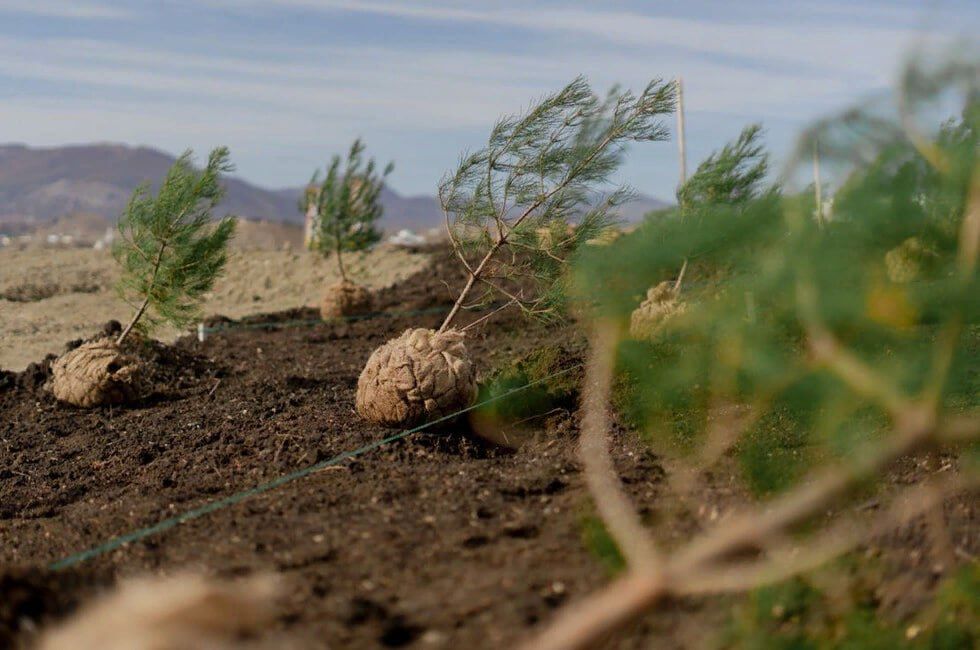 ���, ���. ����� �������� ��� �������� �� ������� ��� � ������ ����� ��������� ��� �� ������� "����������"...