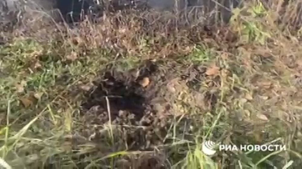 ��� ���������� ���������� ������������ �������� � ���������