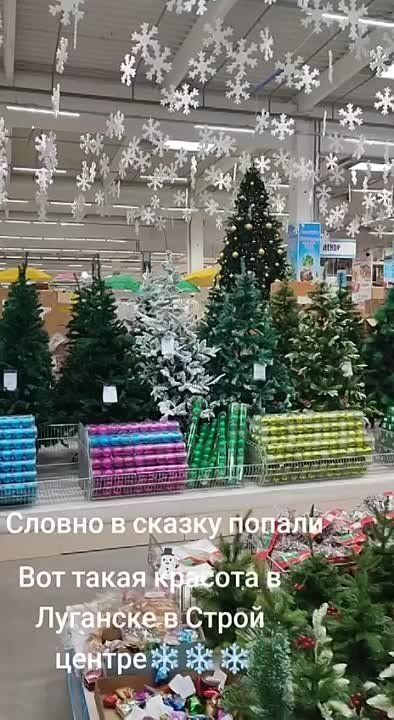 ������ ������ � ���-��������