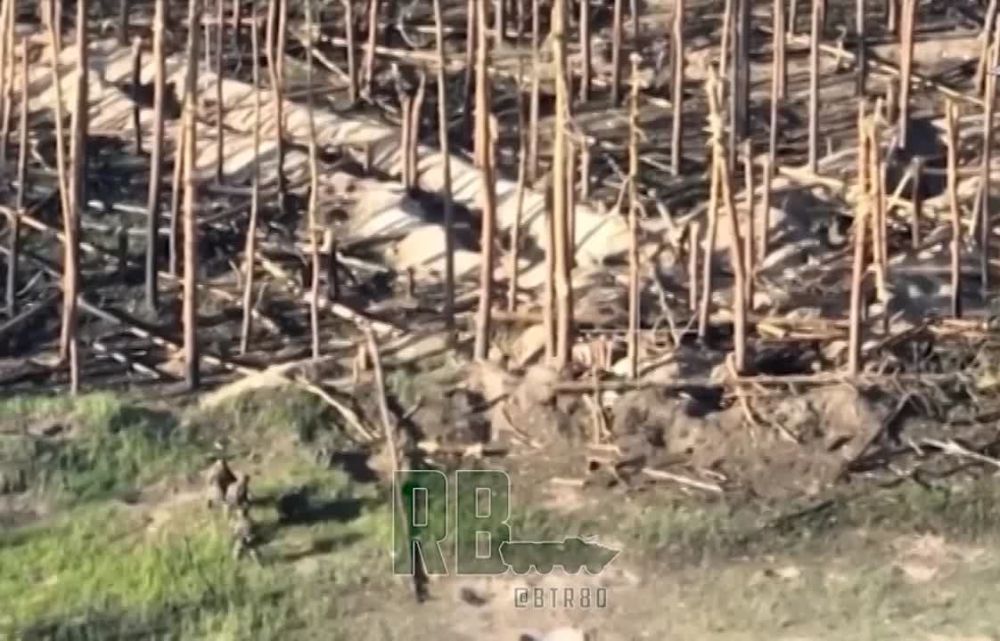 ���������� ������� ���� ������ ��� ���������