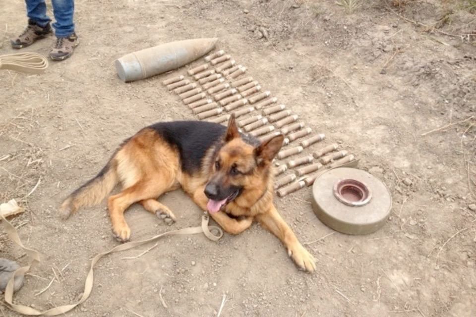 55 ������������� ��������� ���������� � ��� �� �����