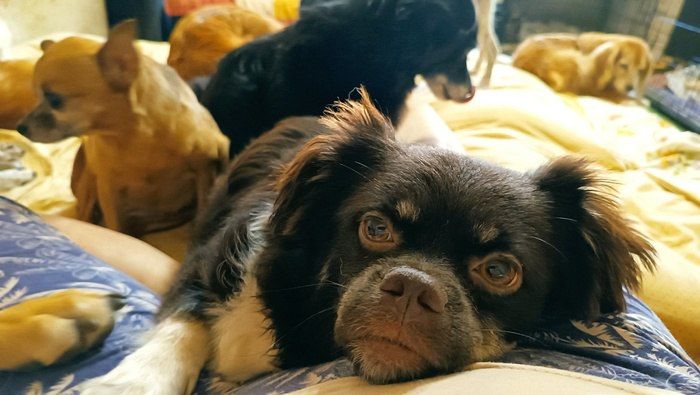 ���. ��������� ��������� ���� �� ��������� ���� ������� ��������� ����� ������ ��������� �������� ��������� ������������...