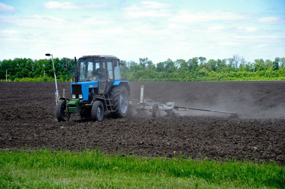 ������ ��� � ����� �������� �������� �� ������� 1 356,89 ���. ��., �������� � ����������� ��