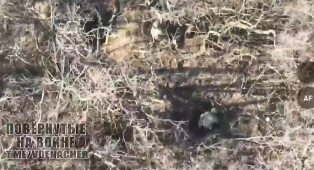 ���������� ����� �������� ����� ����������