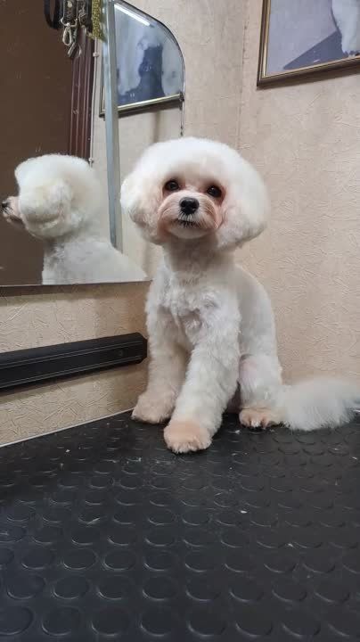 ������ ��� �� ����!. ���� ������� �� ����������, ���������� � ���, ��� ��������� ��������. ������� ������� �����.