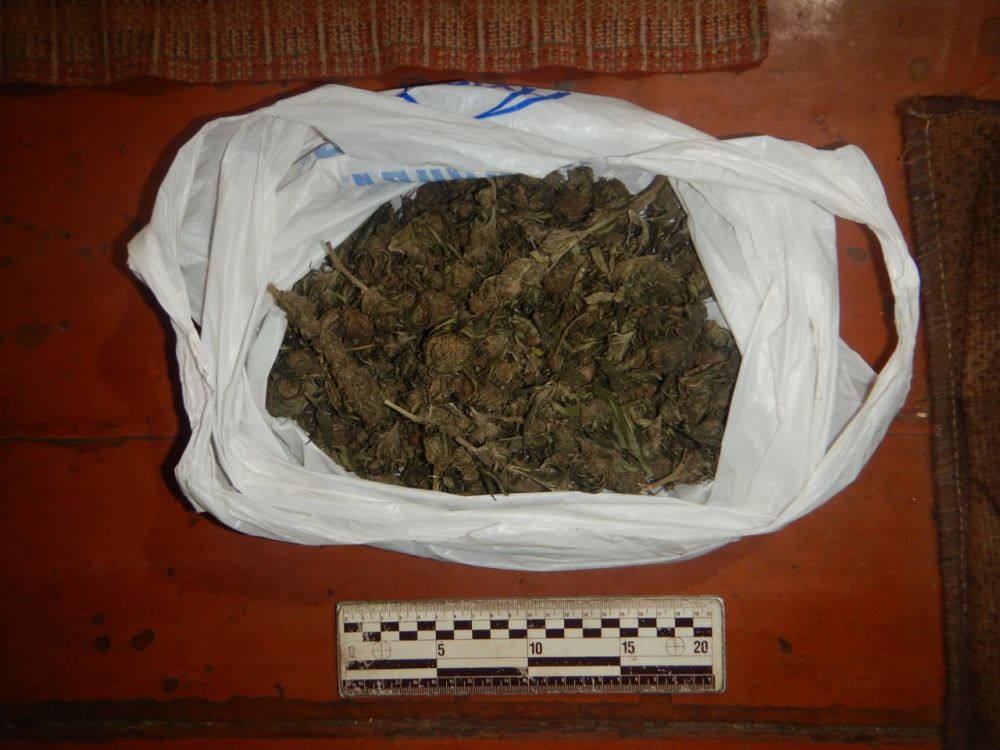 � ������ ������ ������ �������� ���� �������