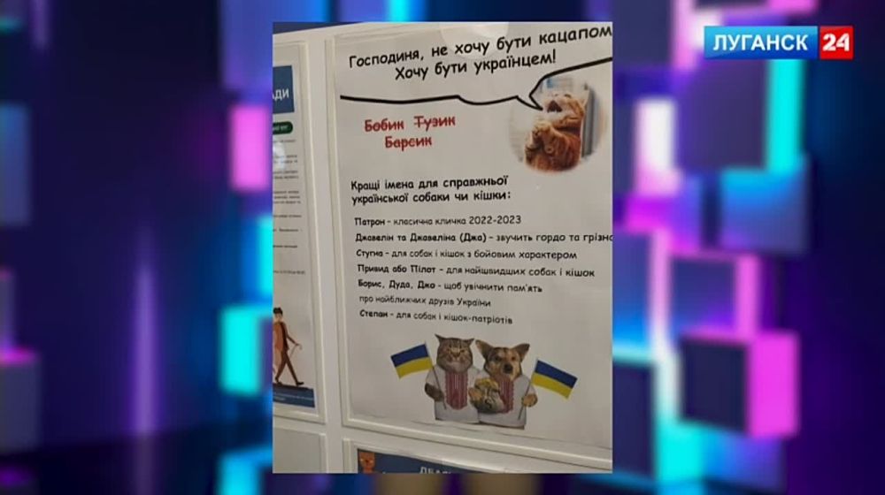 ����� ������ ��������� �������� �� ������� �� ���������� �������� 24� ��������� ��� � ��������� ������������, ������� � ���������������, ������������ ��������� �� �������