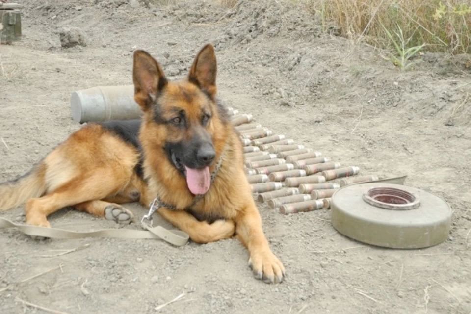 27 ������������� ��������� ���������� � ��� �� �����