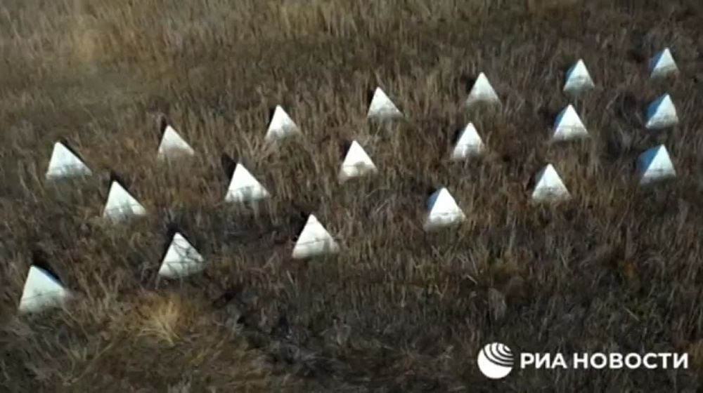 ������ ���������� ����� �������� ������ ����� ������������ ���-3 � ���� ������������