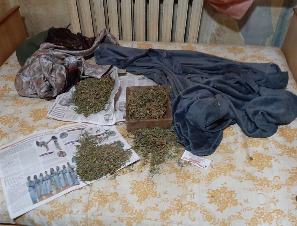 � ������� ���� ������������ ������ 3 �� �������