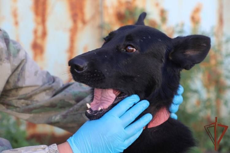 ��������� ������ ����������, ���������� ������� � ���� �� �����������, ���� � ��� ������ ������������ ������ � �������� ��������