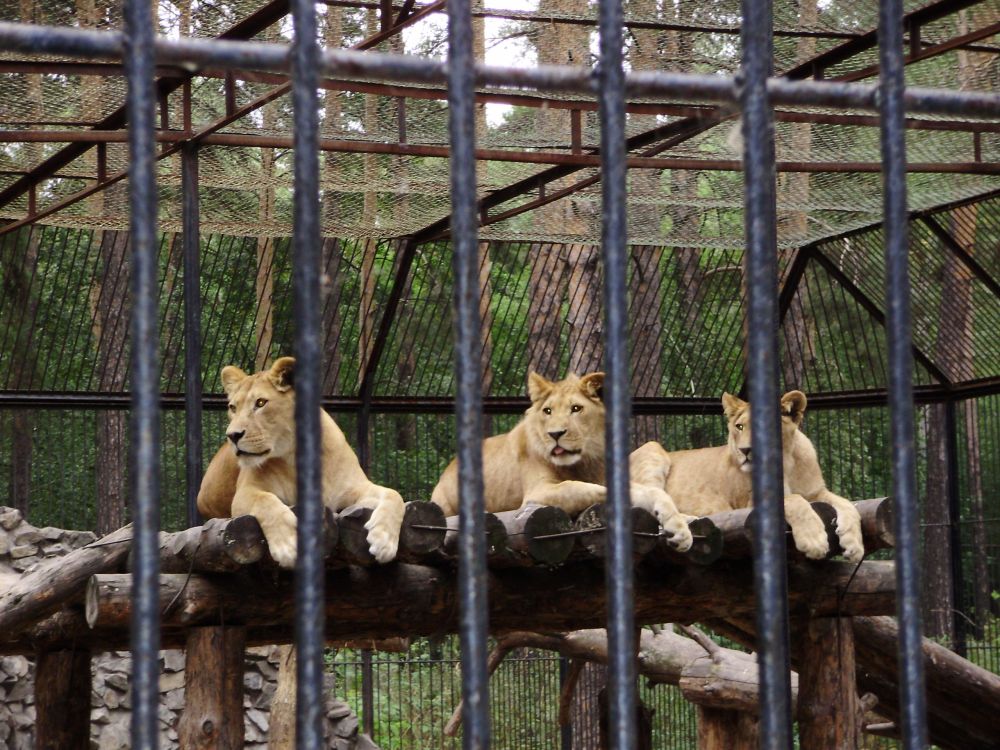 ���������� �������� ���������� � ��������� � ������ � ����� �������� ���������� ���������