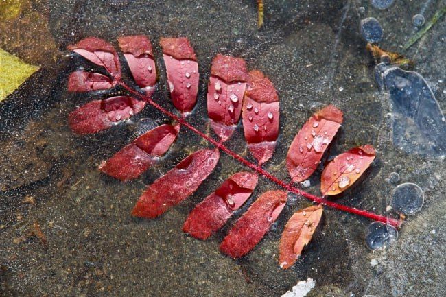 � ��� � �����������, 19 ������, ��������� �� 1 �� 4 �������� �� ������ ����, ����� ����������� �������� �� -3 ��������