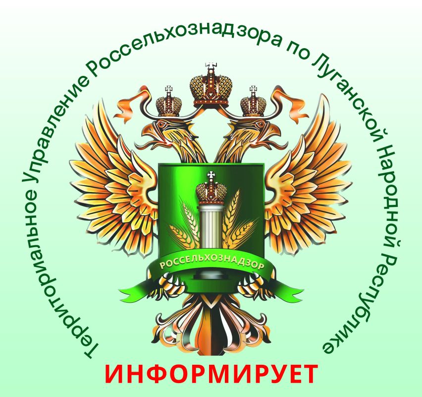 �������� ���� ��������������������������� � ���������� ������� ���������������� ���������