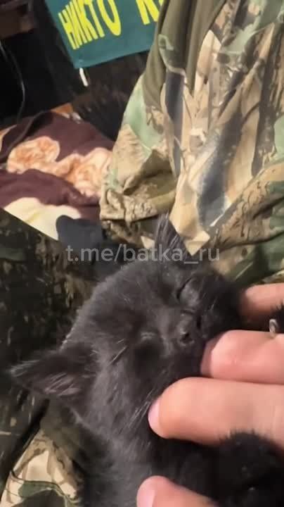 ������� ���� ���������� ������, ������������ ������� �����!