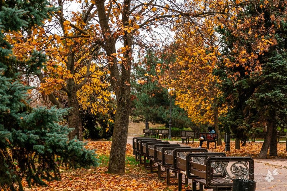 ������ ����� ��� � ���������� �����