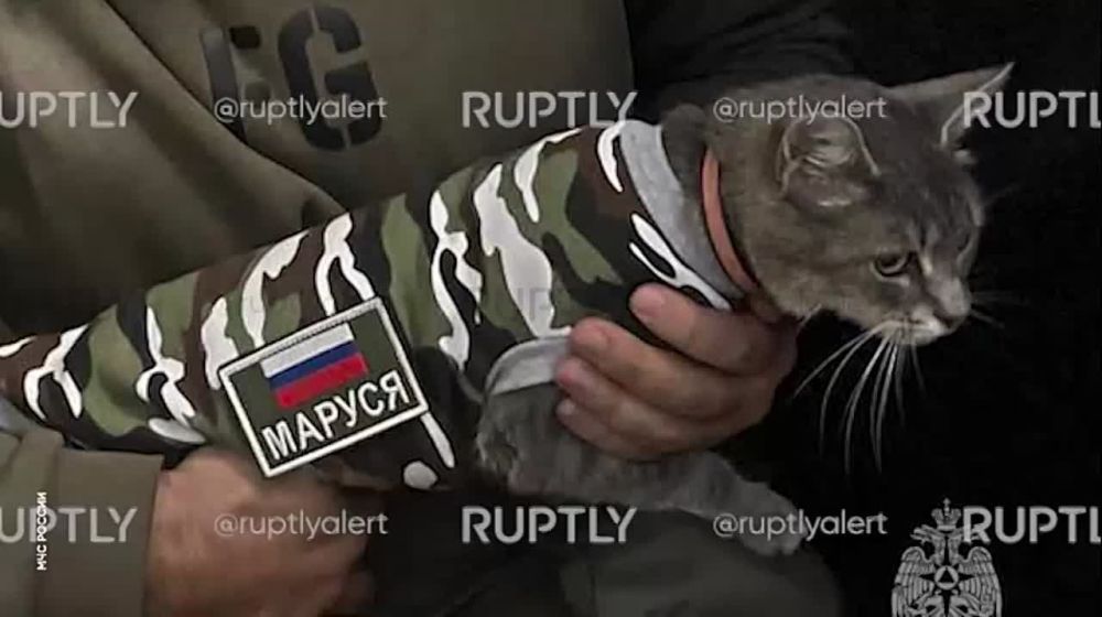 � ��������� � � ������� ��������: ����� ������ �������� � ���� ��� ��� ���������� ���������