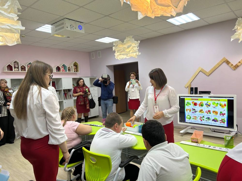 Уполномоченный по правам ребенка в Луганской Народной Республике Инна Швенк совместно с членами рабочей группы «Ментальное...