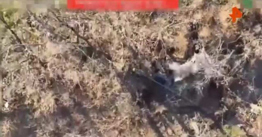 ���������� �� �������� ����� ����������� ������� ��� �� ������������ �����������