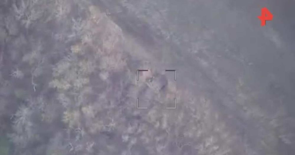 � ���������� �������� ����� ����������� ��������������� ������ ���