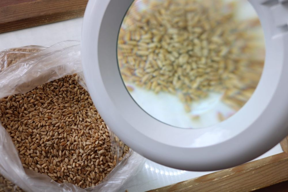 �������� ���� ��������� � ����������� ��������� �� �����������