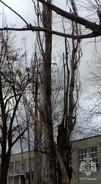 ��������� ��������� ����������� ��������