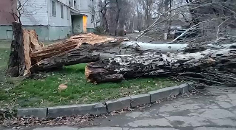 ����� � ������� ������ ��������� ������!