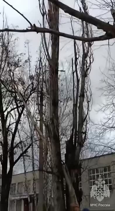 ��������� ��������� ����������� �������� � ����������, �������� ������� ���������� ��� �� ���