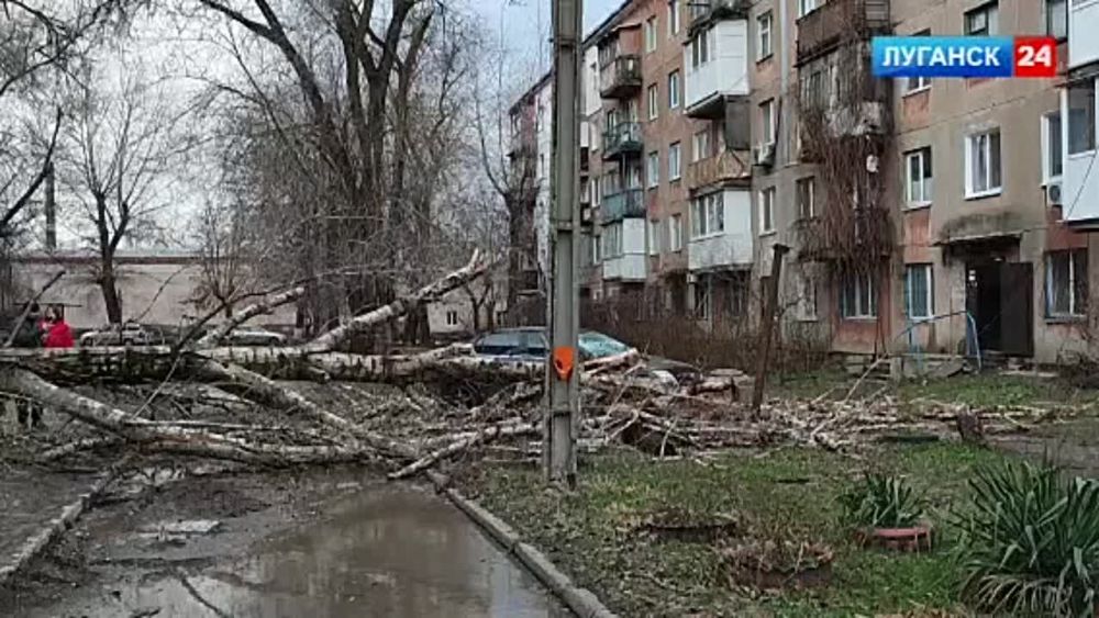 ��������� ����� � ������� ��������� ������ � ������ ������ � ������ �� �������������� ����������