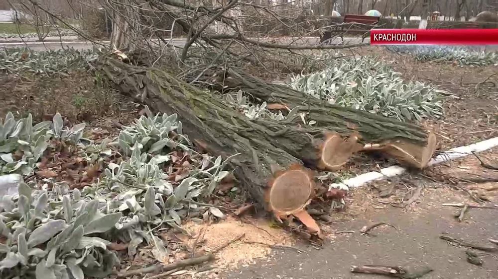 ������������ ������ �������� ������� ����� �������������� ������