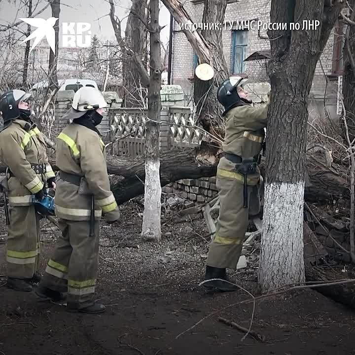 � ��� ������ ����� ��������� 34 �/�. � ��� ������ ����� ��������� �������� � 34 �/�, ���������� � ��������-������ ��� ����������