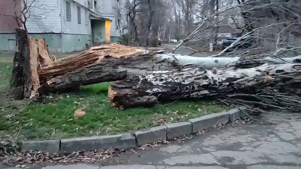 ������� ������� � ����� �� 30 ��� ������, �������