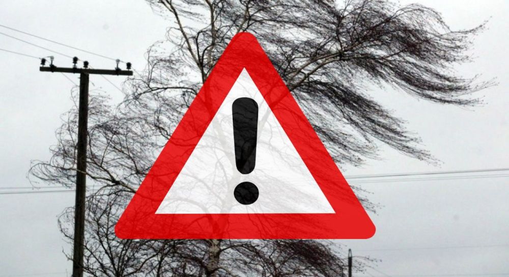 � ����� � ���������� �������� ������� �� ���� ���������� (���������� ����� �� 28 �/�, ������� ������ ����) ������� ���������� ��� ������ �� ��������� �������� ���������� ��������� ������� ��������� ����������� ���� ������������: