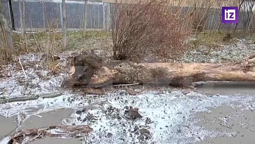 ����� �� ��� ������: � �����, ������������� ���� � ������ �������� ������ ������