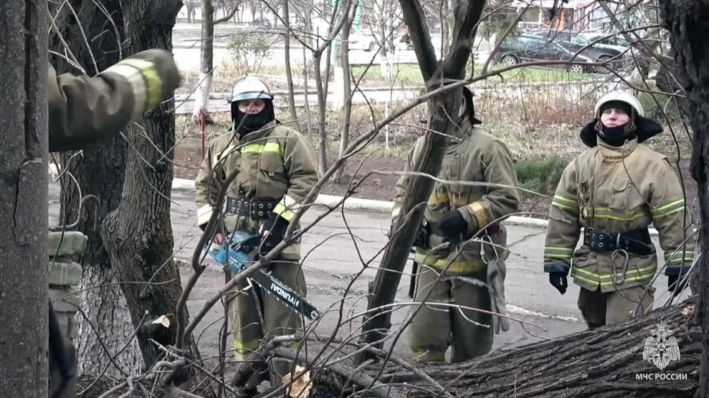 ��������� �� ��� ������ �� ��������� �������� ���������� ���������� ��������� ����������� �������, �������� � ��� ���