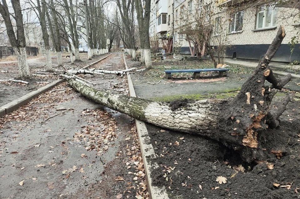 ������������� �������� ����������� � ���������� ����������� �������� �� ��������� �� ����� ������������