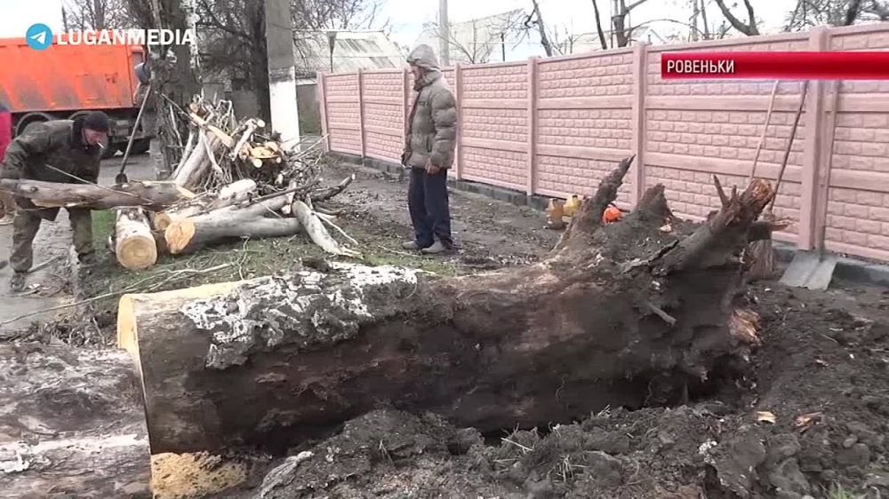 ������������� ������������� ��������� ����������� ��������