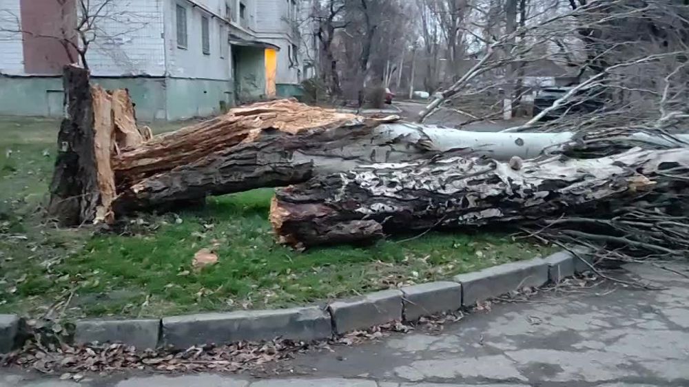 ������������ ����� ������� ���������� � ���������� �������� ���, �������� � ��� ���